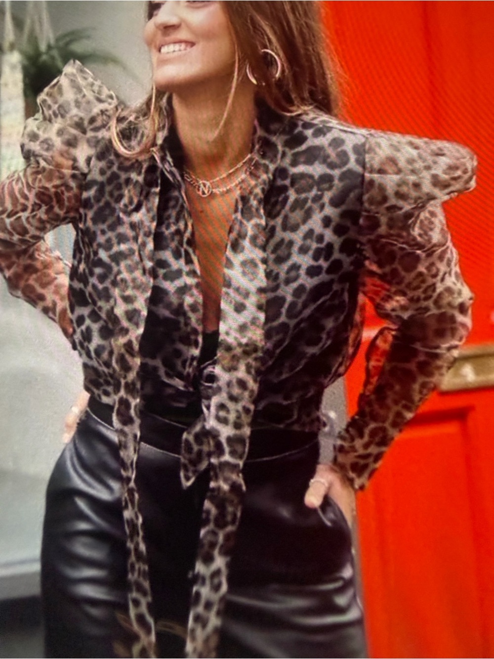 Zara Leopard Print Puff-Sleeve Tie-Neck Blouse - Brown & Black